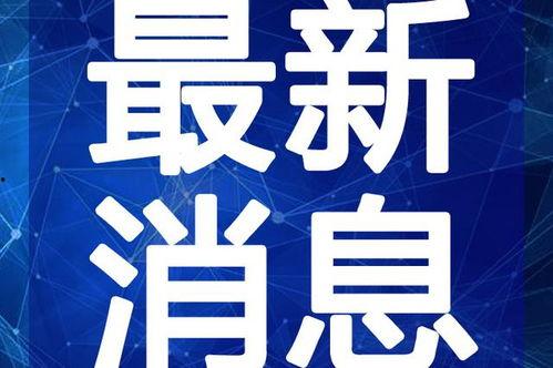 泰安本地人爆料视频最新,揭秘当地新鲜事