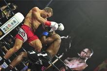 最新拳击爆料,最新爆料揭秘拳击界惊天秘密