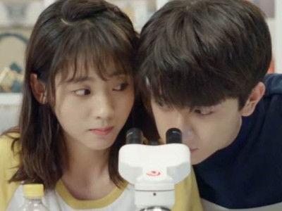 林一和邢菲最新爆料,甜蜜互动揭秘幕后故事